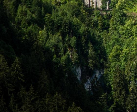 河南粉象生活收入