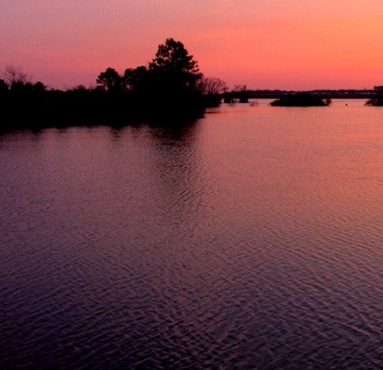 茂名粉象生活合伙人