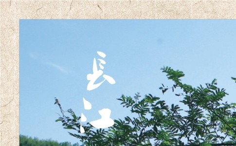 为什么成为粉象vip