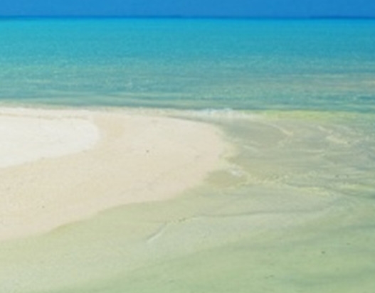 粉象生活粉丝怎么增加