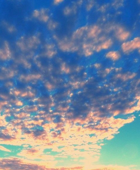 粉象生活每日任务怎么做