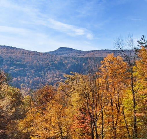 淘宝生活节送礼品