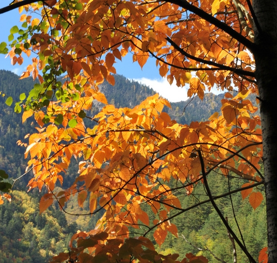 建行生活怎么付款