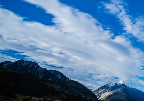 粉象生活极速版