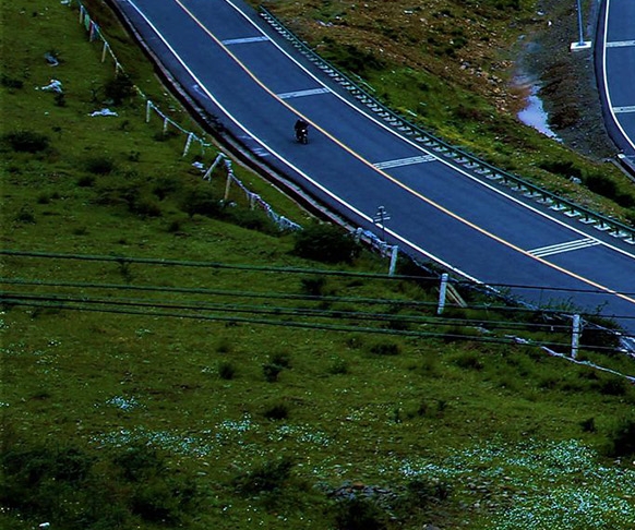 粉象生活下载app