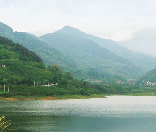 新手粉象生活怎么赚钱