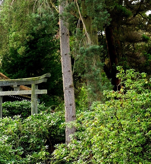 群里的粉象生活是真的吗