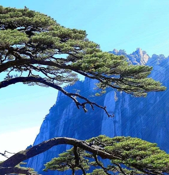 一淘和粉象生活哪个返利高