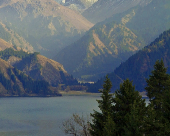 淘宝粉象生活照