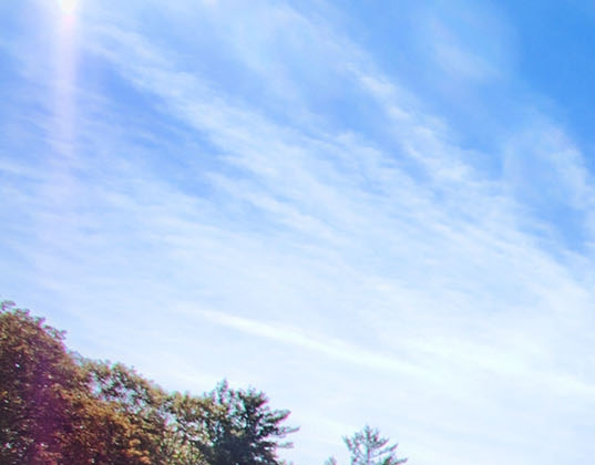 粉象生活代理费