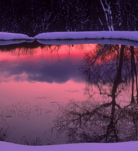 粉象生活咋挣钱