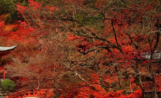 粉象生活怎么推广引流加粉丝