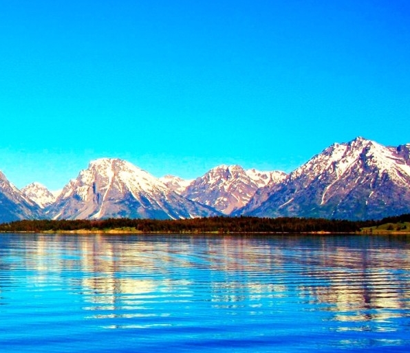 粉象生活怎么赚钱的