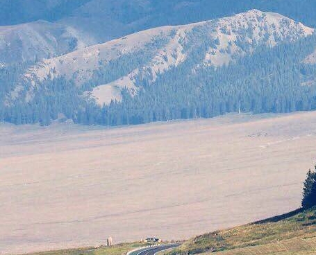 粉象生活加好友一般几天