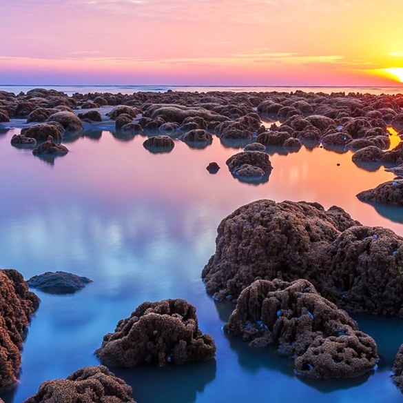 淘宝商家如何入驻粉象