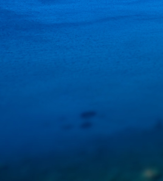 粉象生活广告目标