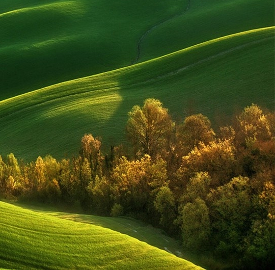 粉象生活怎么制作