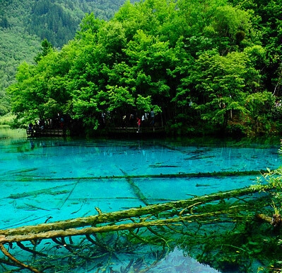 粉象生活买什么佣金多