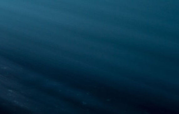 粉象生活有没有自动收钱的