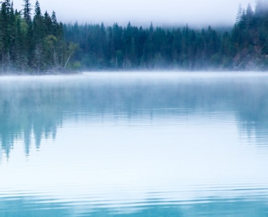 粉象生活一件代发怎么发