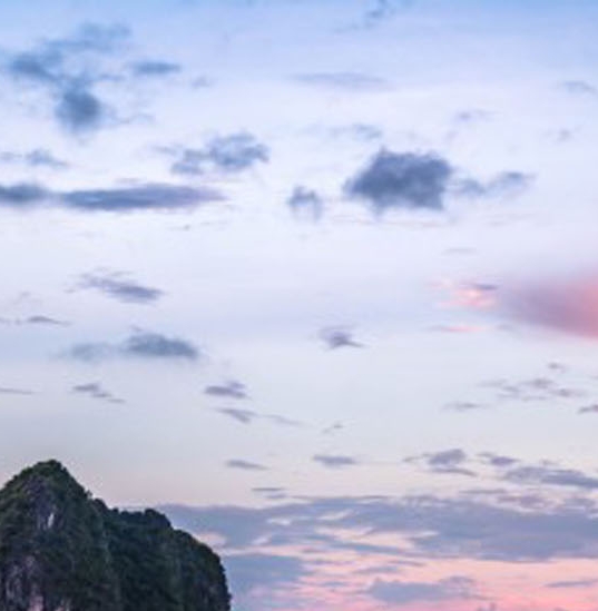 粉象生活的会员有什么用