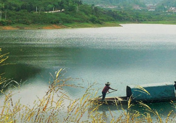 粉象生活怎么在闲鱼使用