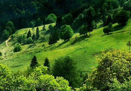 粉象生活有没有推广权限