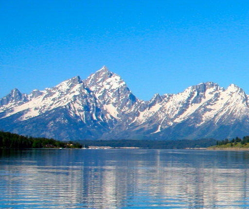 粉象生活佣金怎么算的