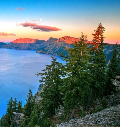 粉象生活邀请码