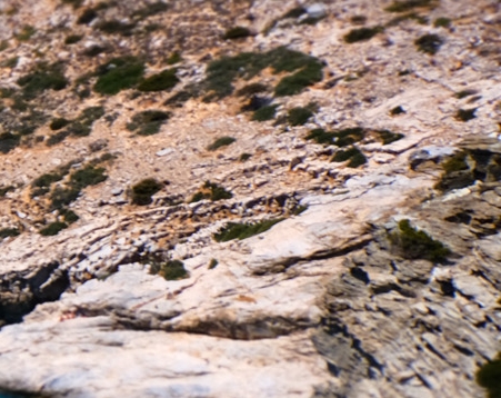 粉象生活粉丝怎么增加