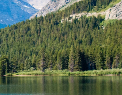 粉象生活提供人工服务