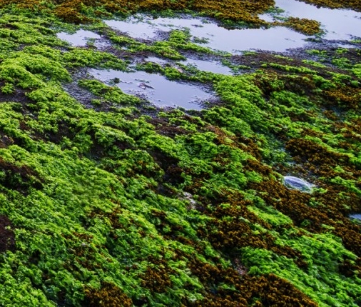 下载平安好生活是什么套路