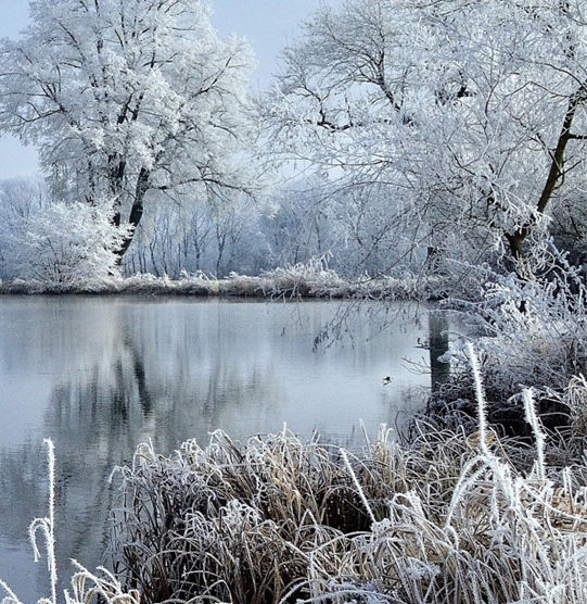 粉象生活怎么玩手机版