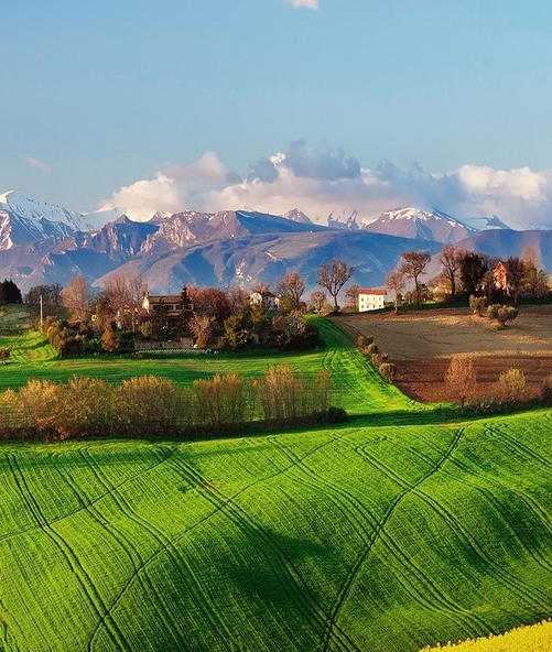 粉象生活是正品吗