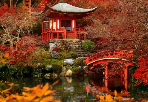 粉象生活邀约码