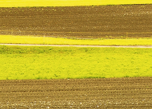 粉象生活的真实用户是谁