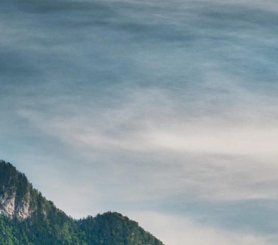 好省和粉象生活哪个好