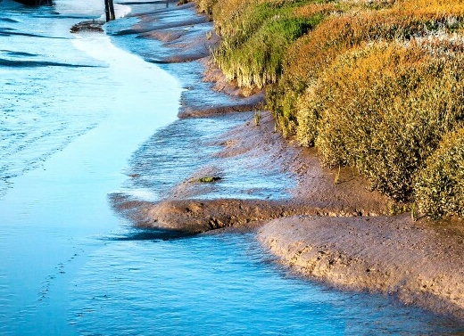 粉象生活不是vip可以得佣金吗