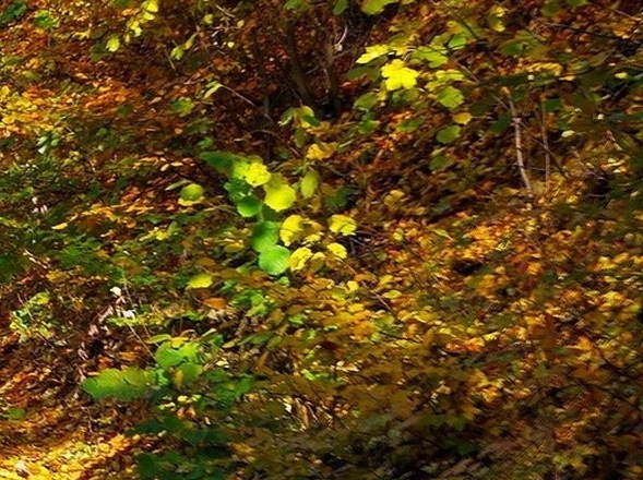 粉象生活的红包是怎么来的