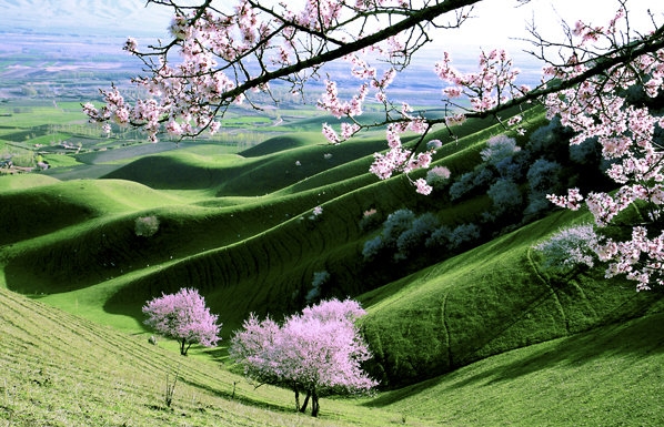 粉象生活的团队怎么注册