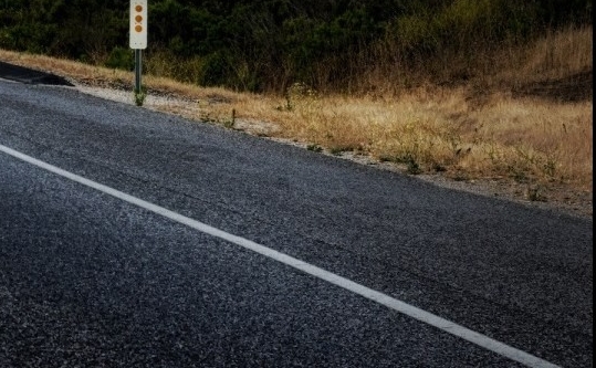 粉象生活购物平台真实吗