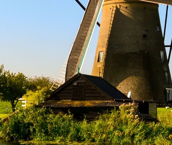 粉象生活为什么赚钱那么快