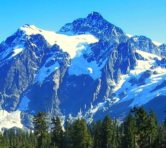 粉象生活新手怎么做