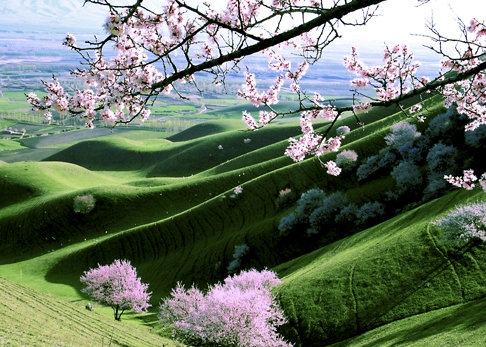 粉象生活分享后怎么没有佣金