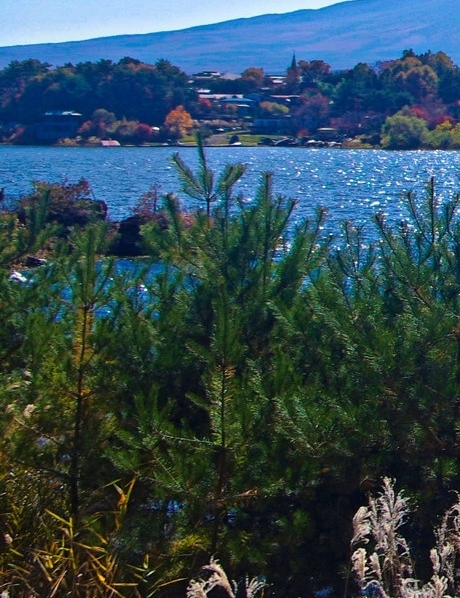 粉象生活天一团队