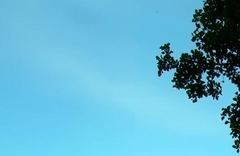 粉象生活的会员卡怎么用