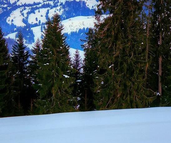 粉象生活怎么赚钱的