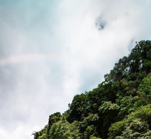 粉象生活能赚到钱吗