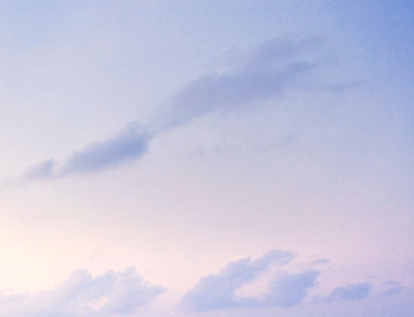 粉象生活和淘宝联盟哪个好