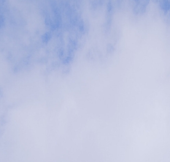 多多团长和粉象生活